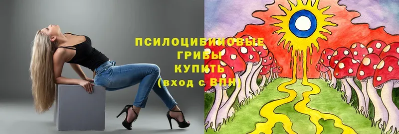 где продают   Курск  Псилоцибиновые грибы Psilocybe 